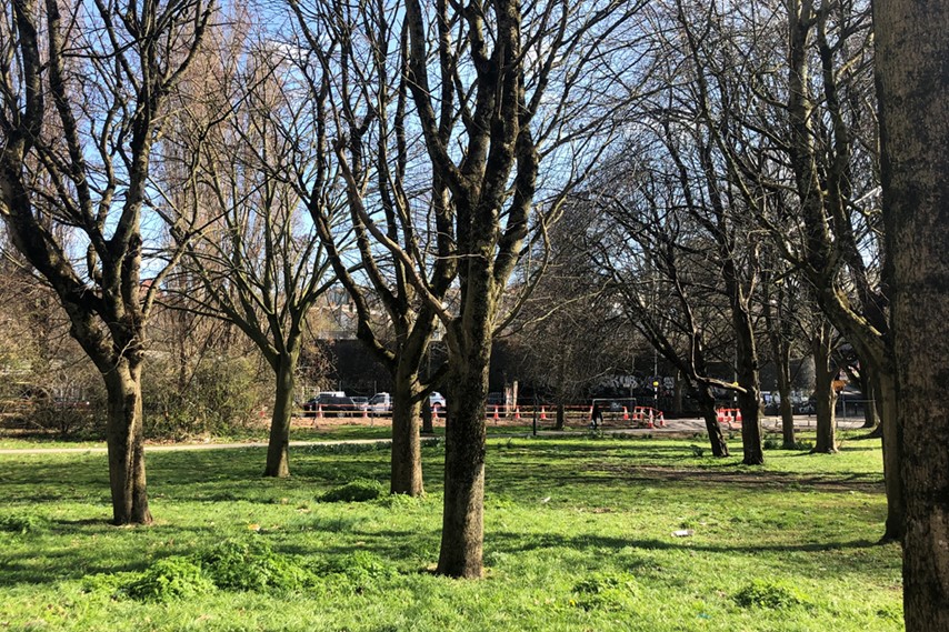 A grassy area known as Bedminster Green