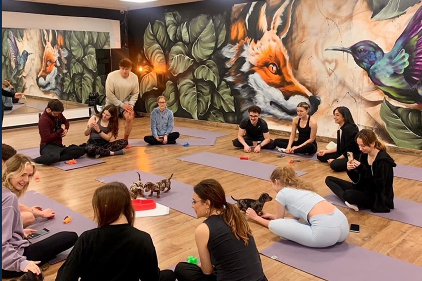 A group of young people sit in a circle on yoga mats in a dance studio run by Xquisite Spaces. A mural of a fox covers the wall behind them.